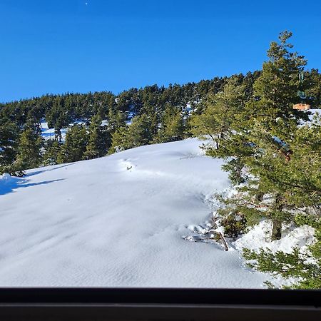 Greolieres Les Neiges Lägenhet Exteriör bild