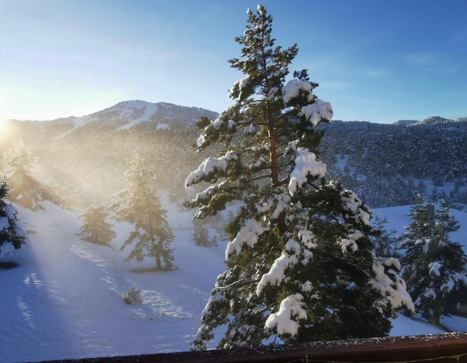 Greolieres Les Neiges Lägenhet Exteriör bild