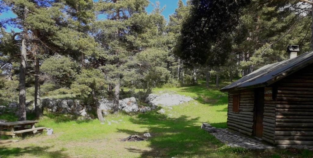 Greolieres Les Neiges Lägenhet Exteriör bild