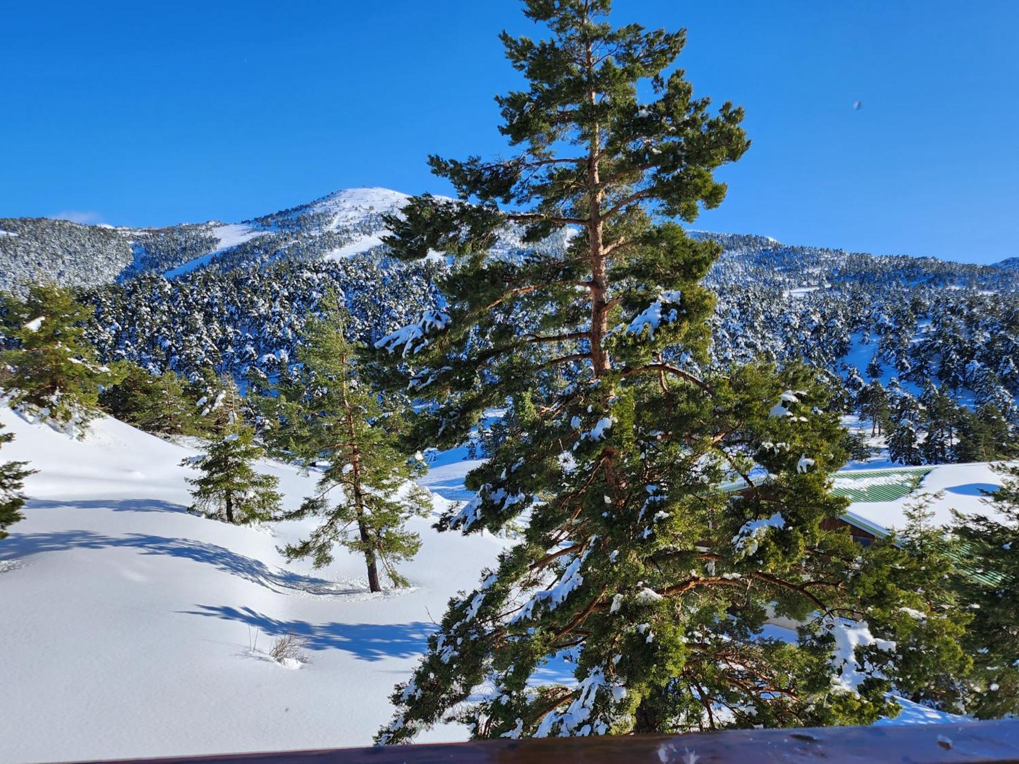 Greolieres Les Neiges Lägenhet Exteriör bild