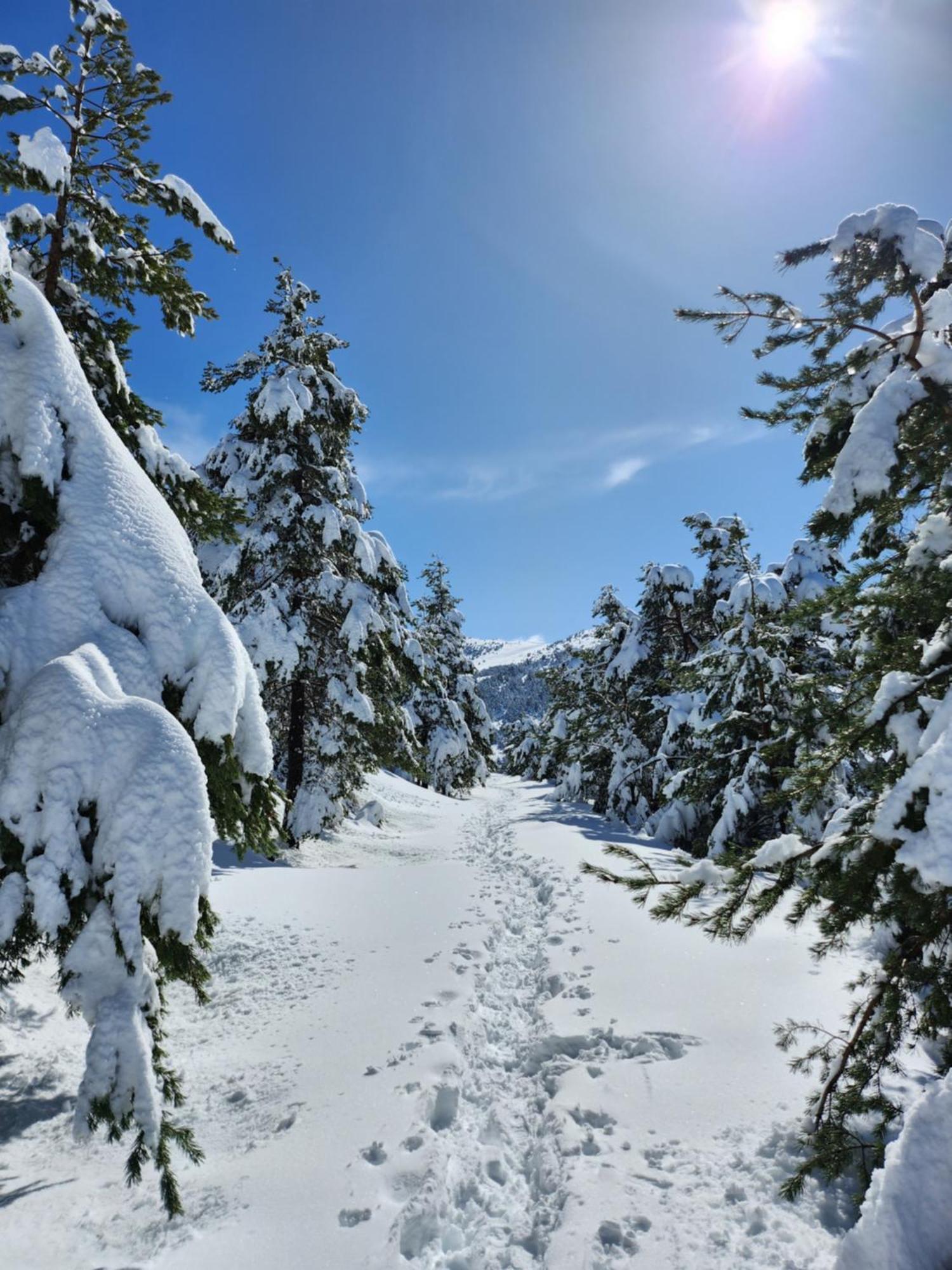 Greolieres Les Neiges Lägenhet Exteriör bild